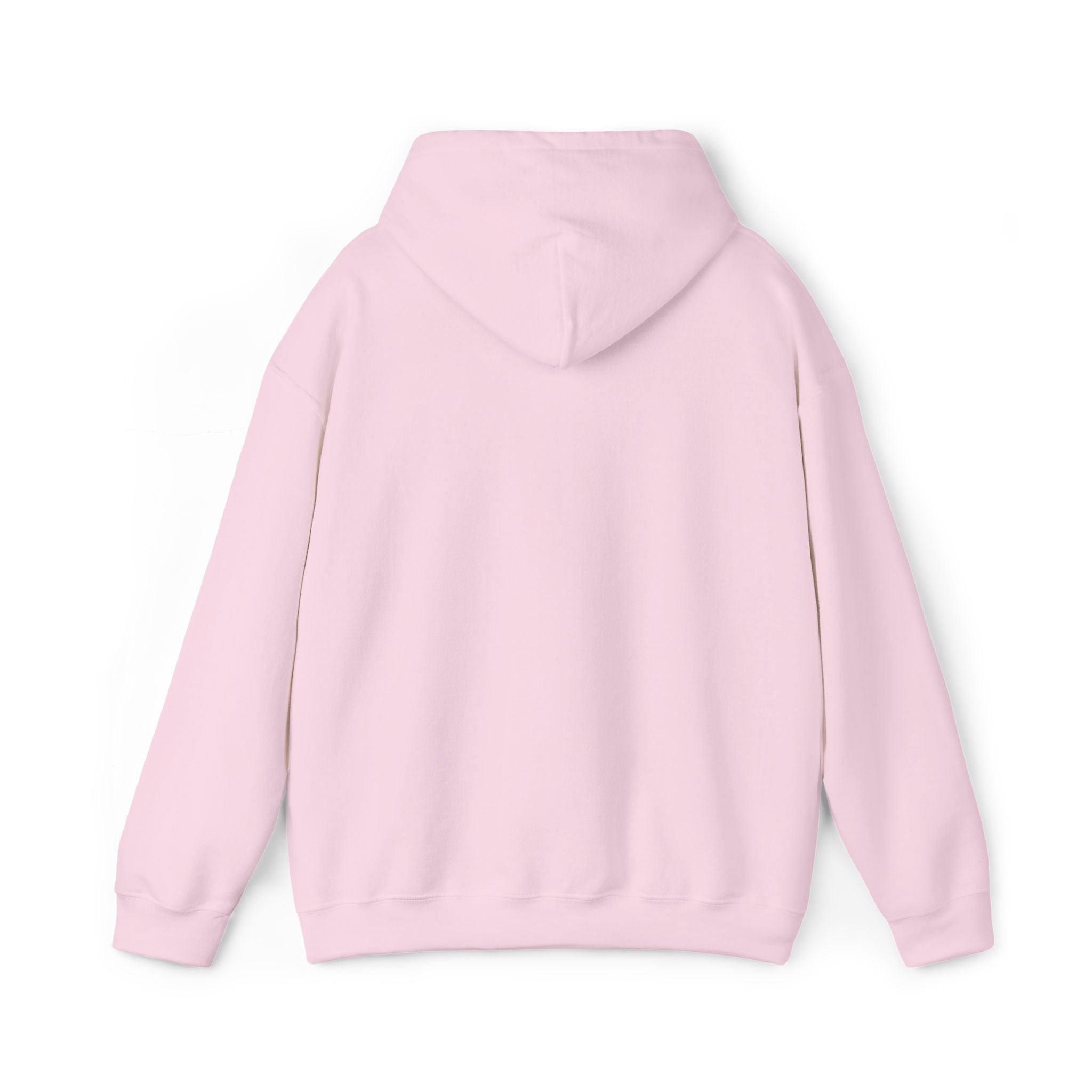 Baggie 2007 Hoodie Pullover
