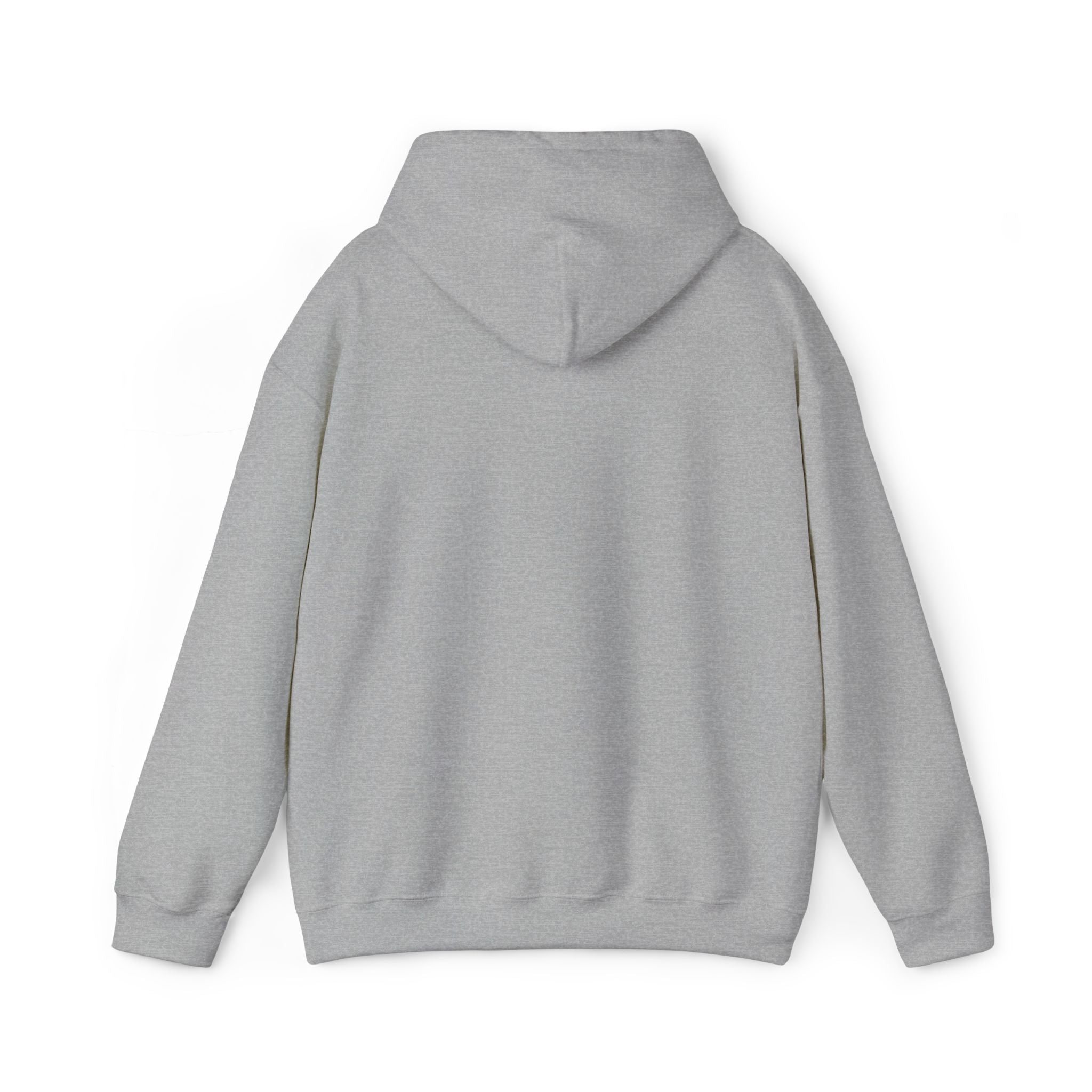 Baggie 2007 Hoodie Pullover